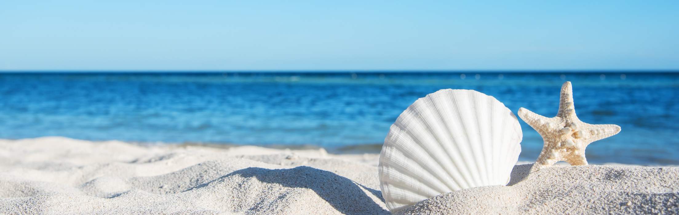 Beacon Business Bank homepage