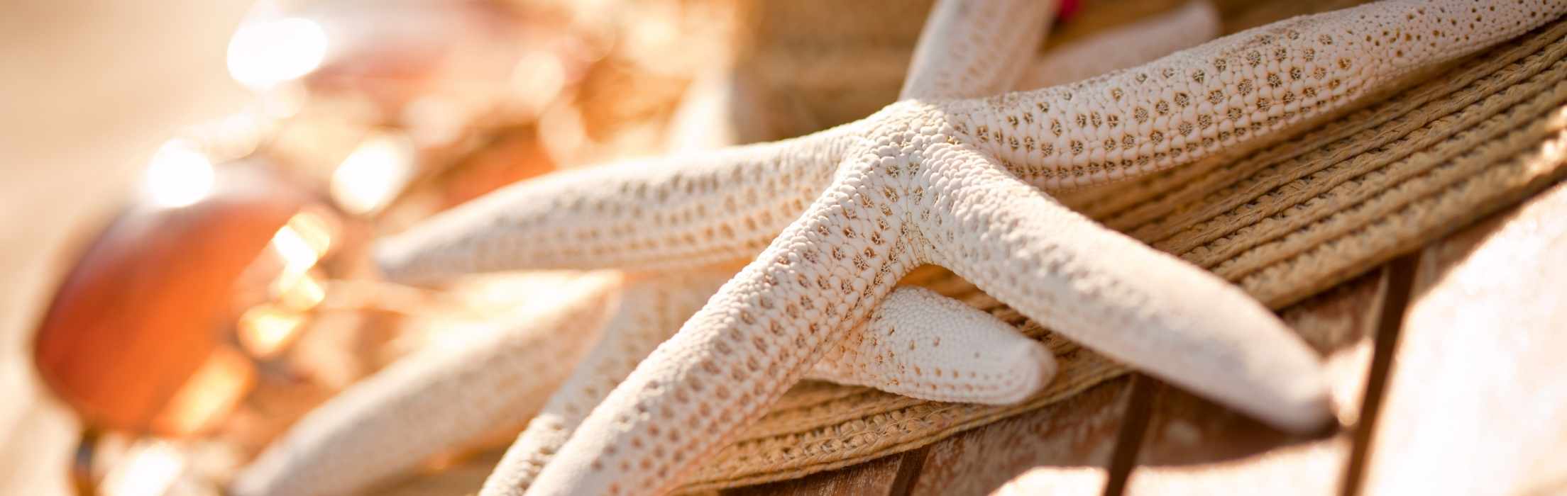 Beacon Business Bank homepage